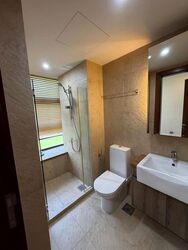 Holland Link (D10), Terrace #631089941
